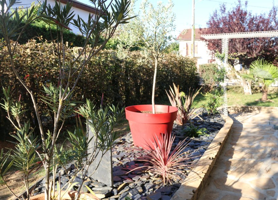 IMG_7287-scaled